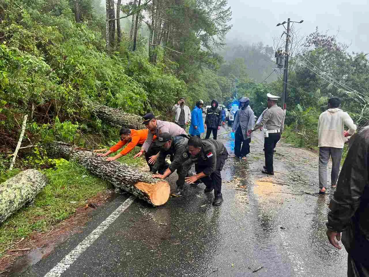 Respon Cepat Polres Aceh Tengah, Arus Lalu Lintas Jalur Takengon–Bintang Kembali Normal Usai Pohon Tumbang