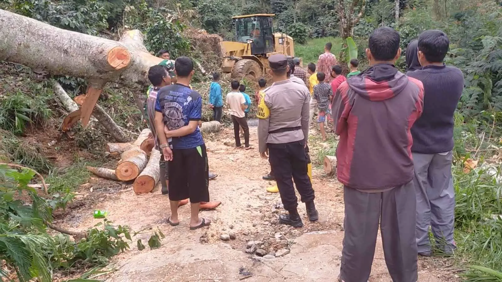 Akses Jalan Sempat Putus Akibat Longsor dan Pohon Tumbang, TNI–Polri Lakukan Pembersihan dan Pengaturan Lalu Lintas