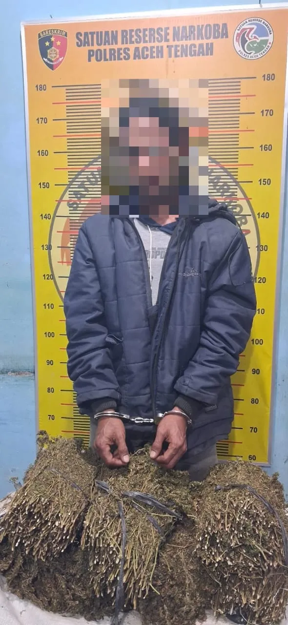 Polres Aceh Tengah Kembali Ungkap Peredaran Narkotika, Ringkus Pelaku dan Amankan 7 Kilogram Ganja