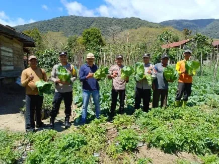 Dukung Swasembada Pangan, Polsek Jagong Jeget Bersama Petani Panen Sawi di Paya Tungel