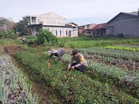 Polsek Lut Tawar Tinjau Perkembangan Perkarangan Pangan Bergizi di Kampung Takengon Timur