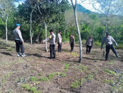Polsek Bebesen Tinjau Perkembangan Lahan Jagung Kuartal III di Kampung Lelabu