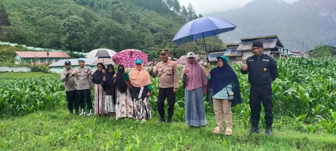 Kapolsek Bintang Tinjau Lahan Jagung Binaan, Dukung Ketahanan Pangan Nasional