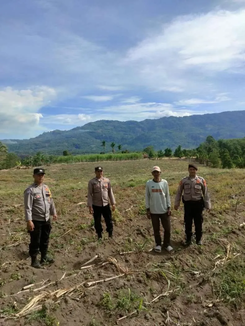 Dukung Swasembada Pangan Kuartal III, Polsek Ketol dan Warga Genting Bulen Matangkan Lahan Jagung 