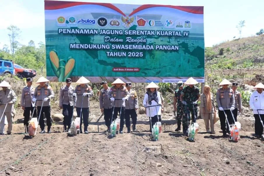 Kuartal IV, Polda Aceh Tanam Jagung di Lahan Seluas 347,87 Hektar