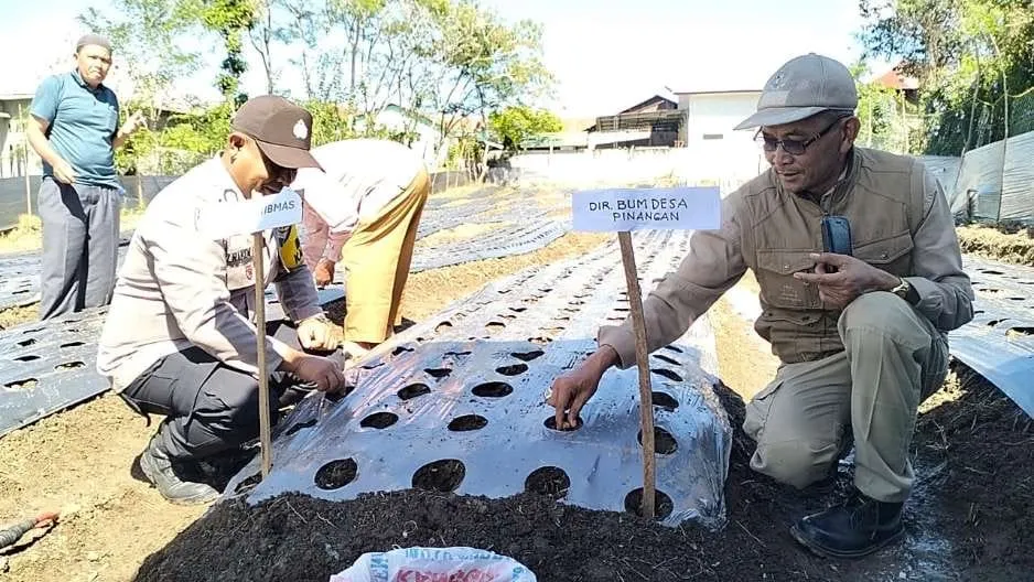 Bhabinkamtibmas Polsek Kota Takengon Hadiri Penanaman Perdana Bawang Merah di Kampung Pinangan