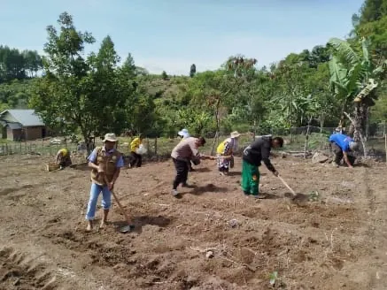 Polsek Pegasing Tanam Kentang di Kampung Bies Penantanan, Dukung Program Ketahanan Pangan Nasional