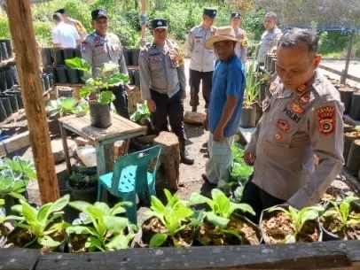 Dukung Ketahanan Pangan, Polsek Bebesen Tinjau Perkembangan Lahan Pekarangan Bergiz
