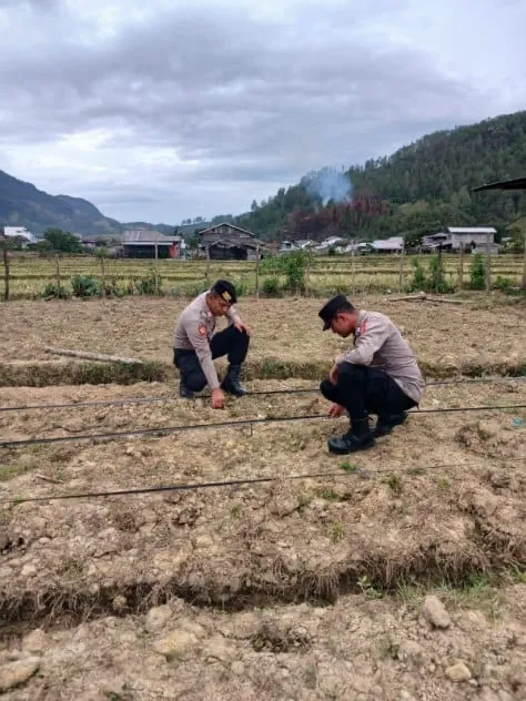 Polsek Bintang Lakukan Pengecekan Lahan Jagung di Pondok Pesantren Alhasaniah Al’Aziziyah