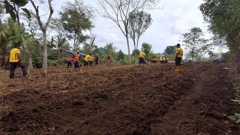 Dukung Swasembada Pangan 2025, Polsek Bebesen Matangkan Lahan Jagung di Kampung Lelabu