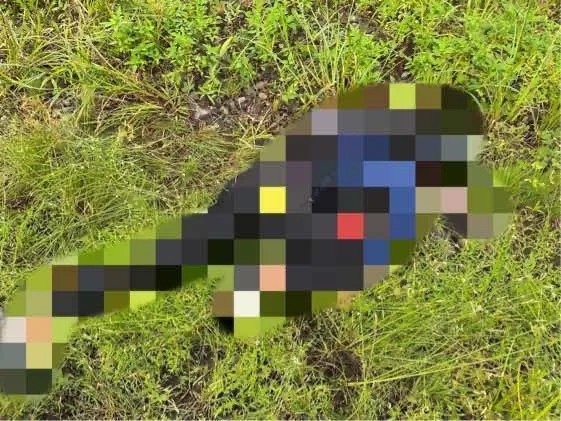 Satgas Ops Damai Cartenz Dalami Kasus Pembunuhan Warga Sipil di Dekai, Yahukimo, Diduga Dilakukan KKB