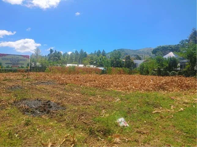 Dukung Swasembada Pangan, Polsek Pegasing Matangkan Lahan untuk Penanaman Jagung