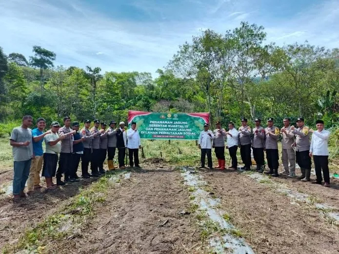 Wujudkan Swasembada Pangan, Polsubsektor Rusip Antara Gelar Tanam Jagung Serentak Kuartal III