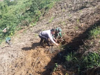Polsek Bintang Dukung Program Unggulan Kasad, Tanam 200 Bibit Pohon di Kaki Gunung Burkelieten