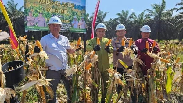 Polres Indragiri Hulu Gelar Panen Raya Jagung Dukung Program Ketahanan Pangan