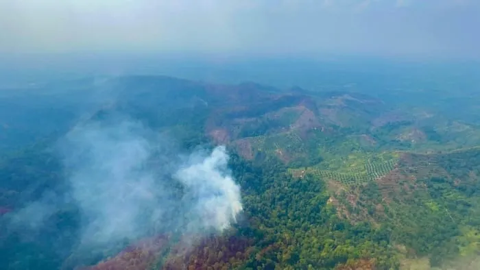 Kapolri Pantau Titik Api Via Udara, Cek Kesiapan Penanganan Karhutla di Riau