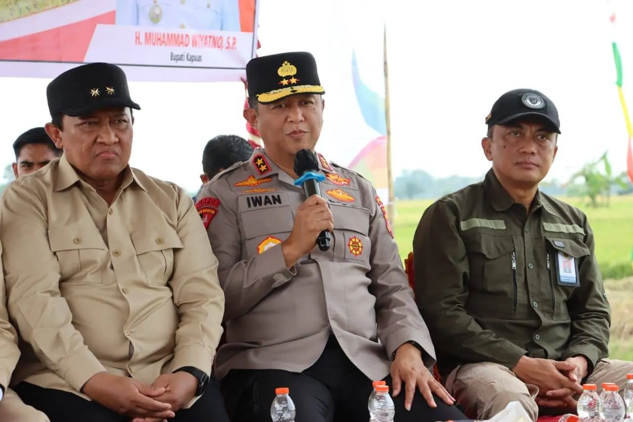 Kapolda Kalteng dan Gubernur Panen Raya Padi di Kapuas, Wujud Dukungan terhadap Ketahanan Pangan